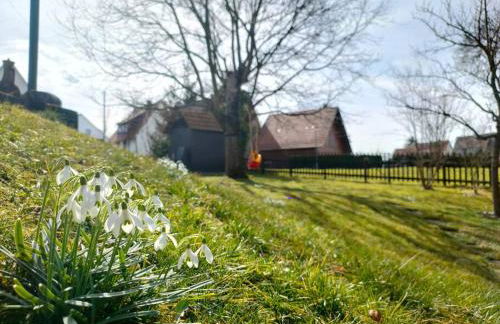 zentrale & ruhige Ferienwohnung - Foto 8
