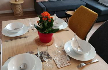 Appartement Hestia F1 bis + terrasse hyper centre - Foto 8