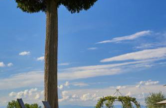 Fattoria la Loggia - Foto 12