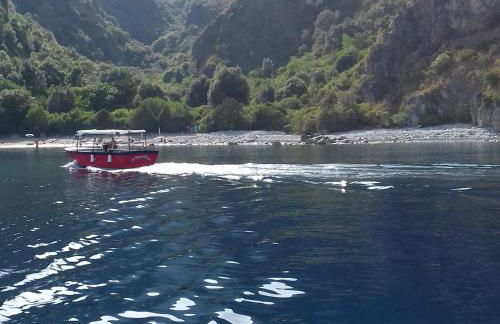 Tenuta del Bifan - Photo 61