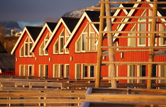 Lofoten Basecamp - Foto 42