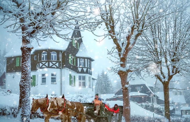 Holiday Apartment Waldfrieden - Photo 23