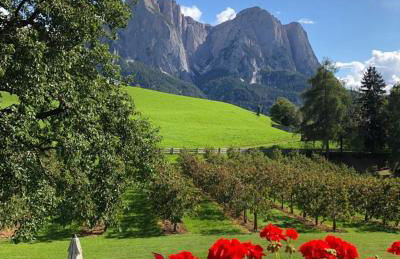 Kachlerhof - Foto 10