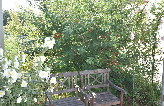 Spacious Bungalow in Blowatz Germany near Baltic Sea - Foto 19