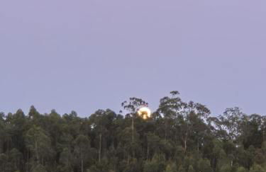 Casa Limonina - Foto 70