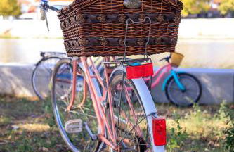 Entire Apartment - A Casa Do Baloico - Cozy Design Apartment in Coruche - Foto 41