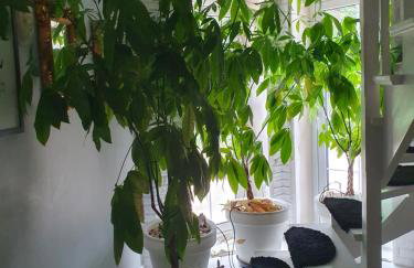 Agroturystyka santa monica - Foto 28