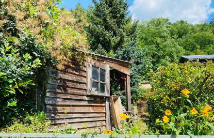 Gemütliches Haus im grünen in NFO - Foto 39