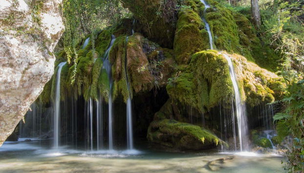 Hair of Venus Waterfalls Excursion - Foto 2
