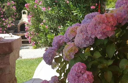 Casa Croatia - Foto 8