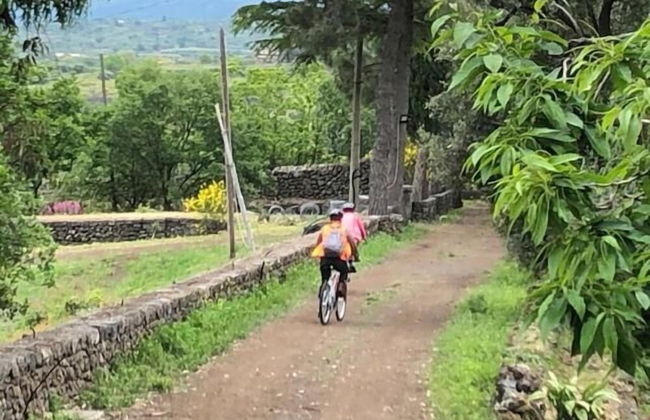 Sole di Sicilia - Foto 33