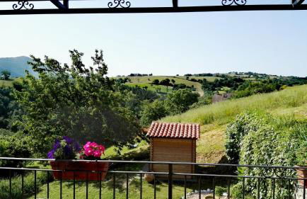 Oasi delle Gazze - Foto 5