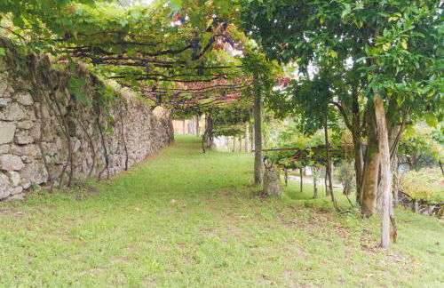 Quinta da Vinagra - Foto 38