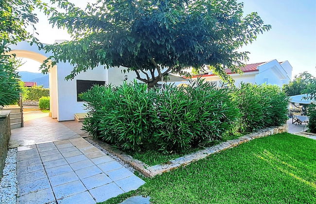 Ktima Amitsa - Foto 38