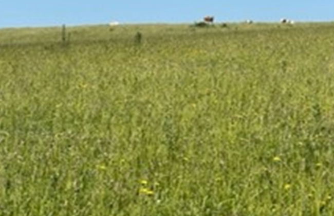 "Ebbeline" - 150m from the sea - Foto 21