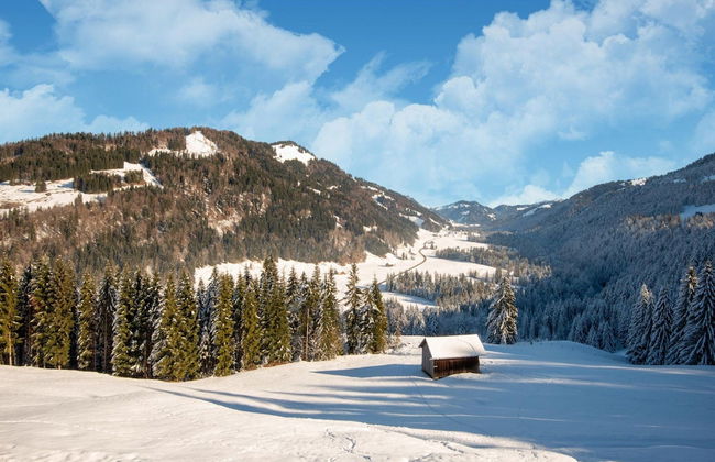 Idyllic Apartment in Sibratsgfall - Photo 25