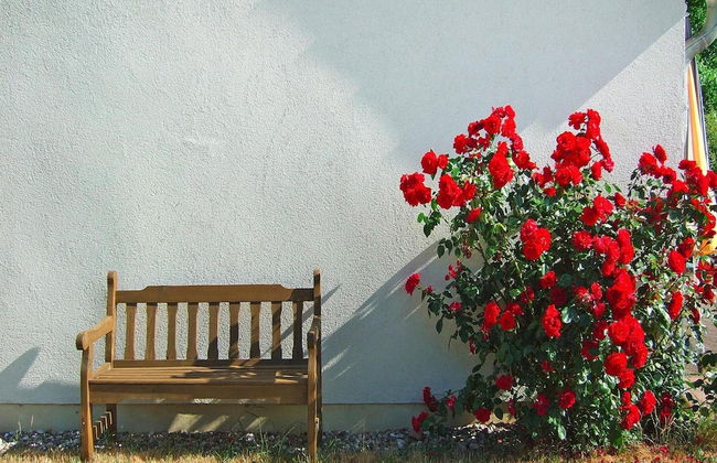 Doppelhaushalfte am Flacher See, Klocksin - Foto 10