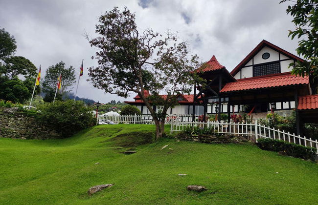 Excursión a Colonia Tovar - Foto 3