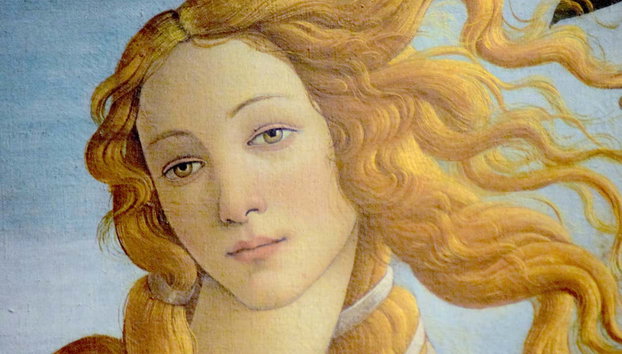 Tour privado por Florencia - Foto 3, La Venus de Botticelli