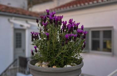 Pearl House - Foto 35