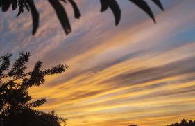 L'antica quercia - Foto 22