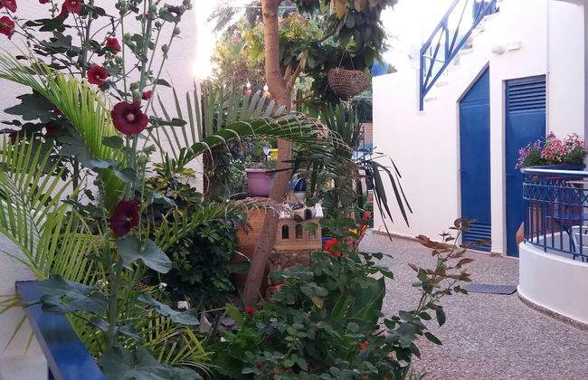 Psaras Apartments - Photo 43