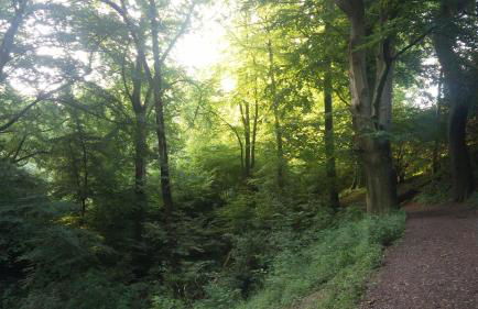 Apartment Fewo Central - Foto 18