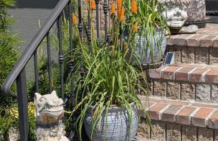 Ocean front home on dunes of Wingaersheek Beach - Photo 4