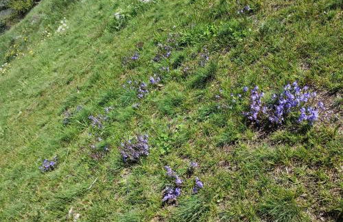 Casa per vacanze degli gnomi - Foto 50