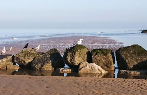 Jasmin's Retreat - Foto 17