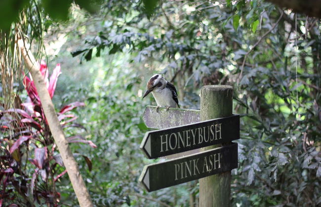 The Falls Montville - Photo 26