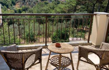 Despina Studios Raxes Ikaria # 1 - Foto 4