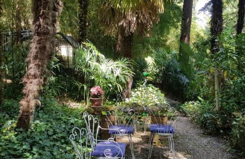 Un Luogo Mágico - Foto 4