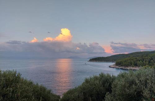 House on Punta - Photo 6