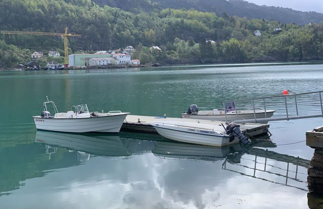 Villa Hjartnes - Foto 60