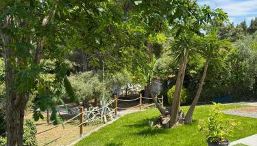 Casa at the top of the hill - Foto 4, Garden, Garden view