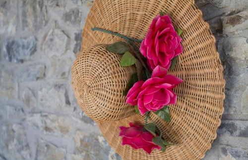 Casa delle Noci - Foto 8