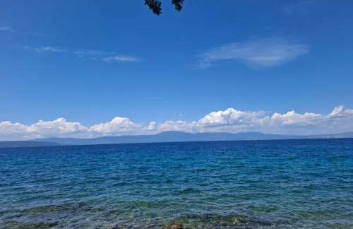 FoREST Heritage Apartment - Foto 56