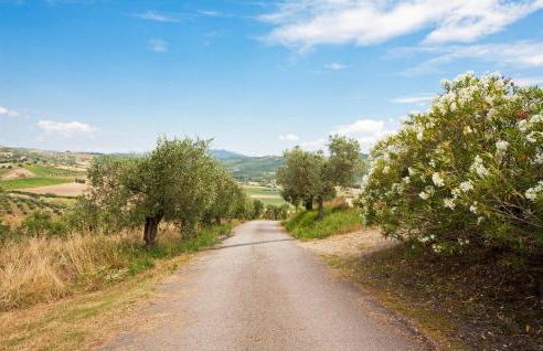 Cozy Apartment In Castiglione Del Lago - Foto 40