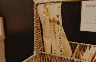 Lake Huron Lady of the Lake Cabin w HotTub, Sauna - Foto 34