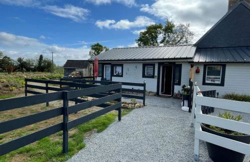 Lieu paisible et indépendant - Foto 19