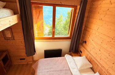 Chalet école des cimes - Foto 49