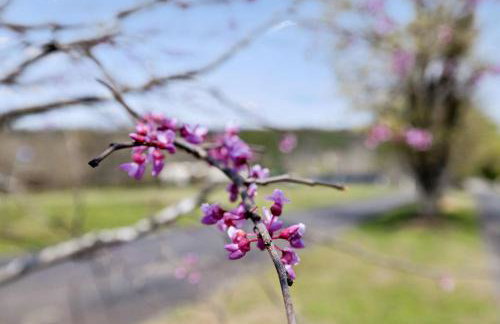 749 Townsend - Foto 36