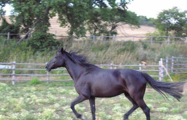 Le Murelle Country Resort - Photo 24