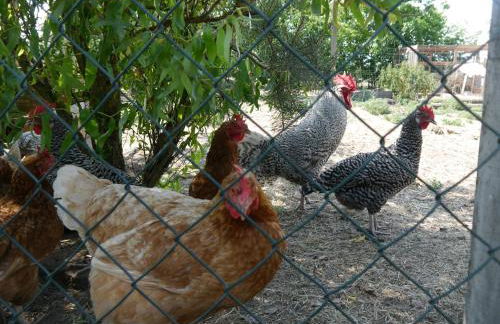 Ferienhaus mit Terrasse - 10 Minuten von Templin - Photo 21