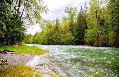 Tony's Riverside Oasis - Foto 45