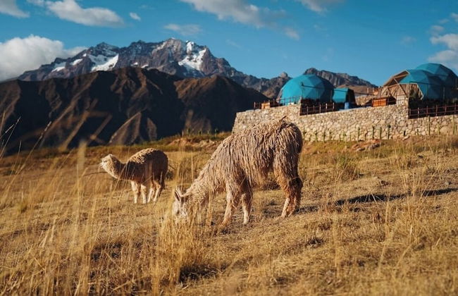 Memorable Sacred Experience - Foto 10