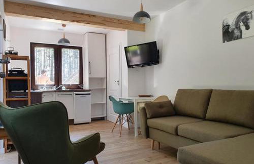 Siedlisko Owink - Foto 3