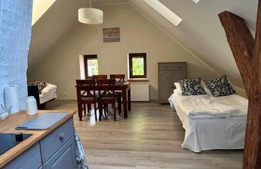 Mazurska Zagroda - Żabi Rechot - dom - stodoła - jacuzi-sauna - Photo 38