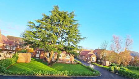 New traditional village house - Foto 2